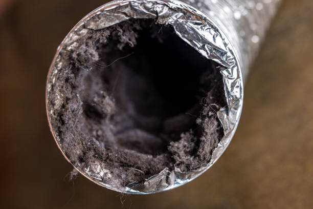 Best Affordable HVAC Duct Cleaning  in Orida City, FL